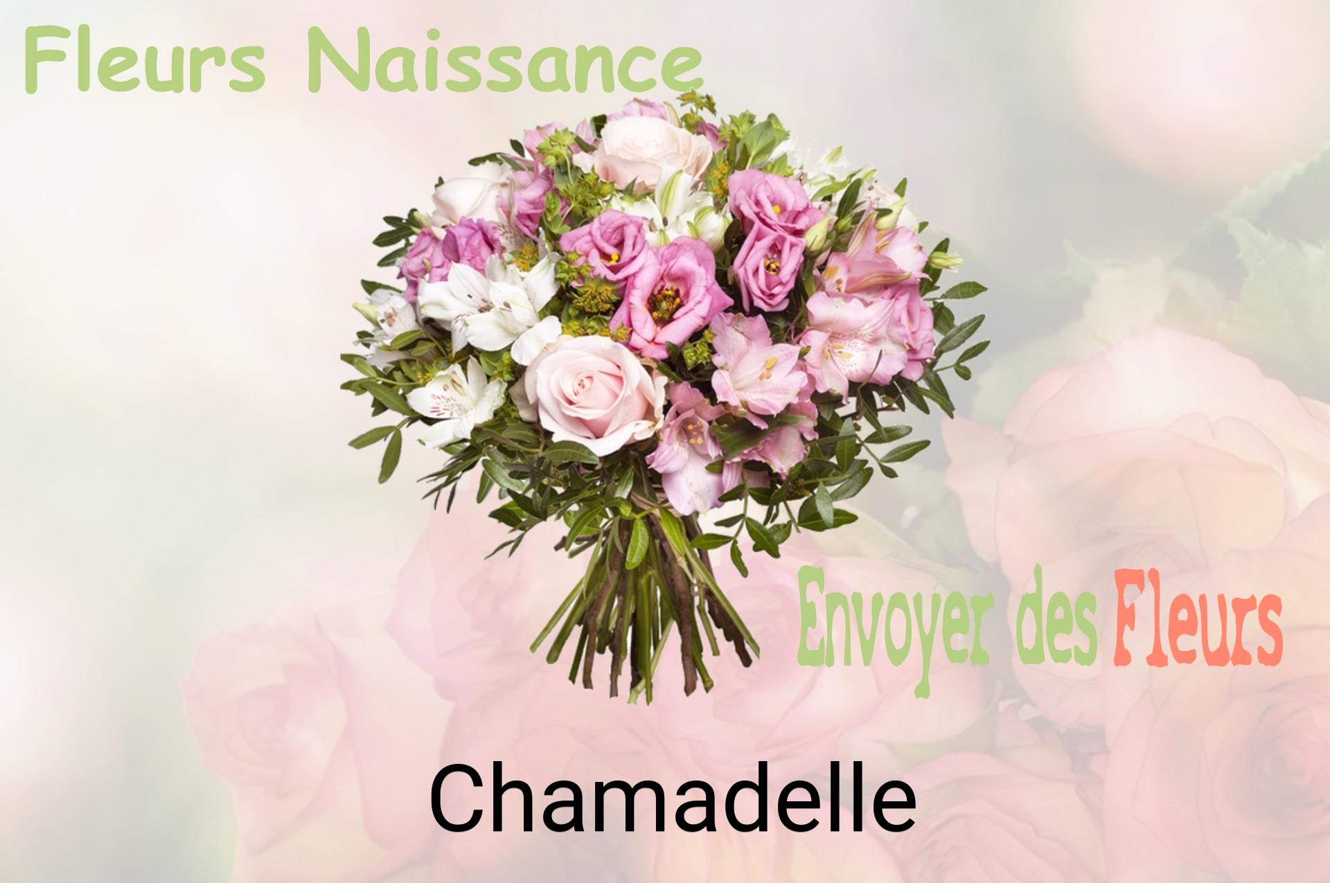 Bouquet de fleurs de naissance livré à Chamadelle